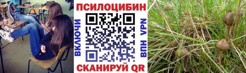 Галлюциногенные грибы Magic Shrooms  закладки  Купино 